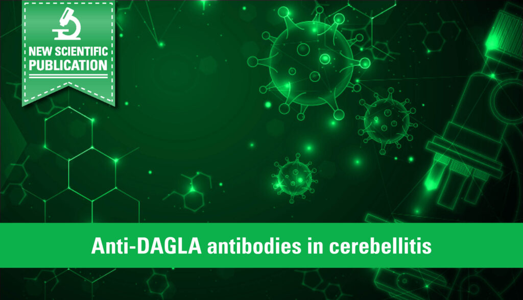 Novel autoantibody against DAGLA discovered in cerebellitis